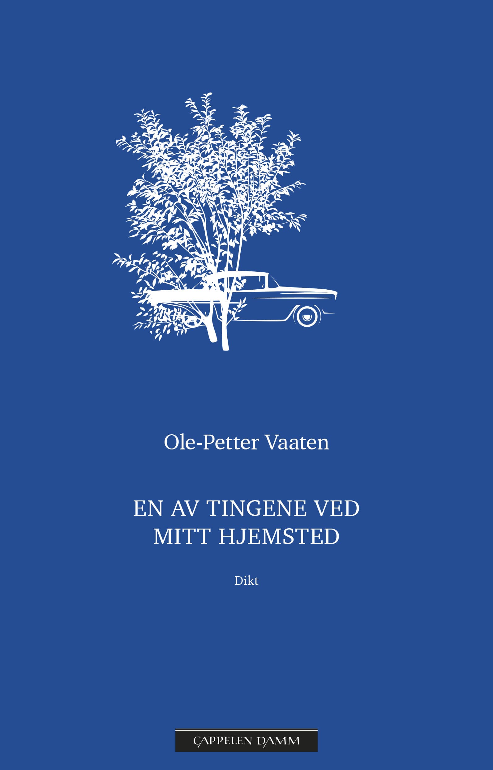 Omslag En av tingene ved mitt hjemsted av Ole-Petter Vaaten (Ebok)