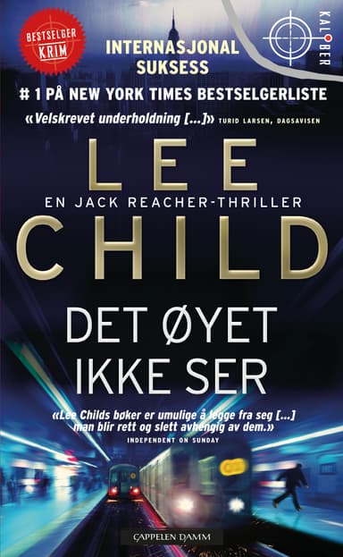 Det øyet ikke ser