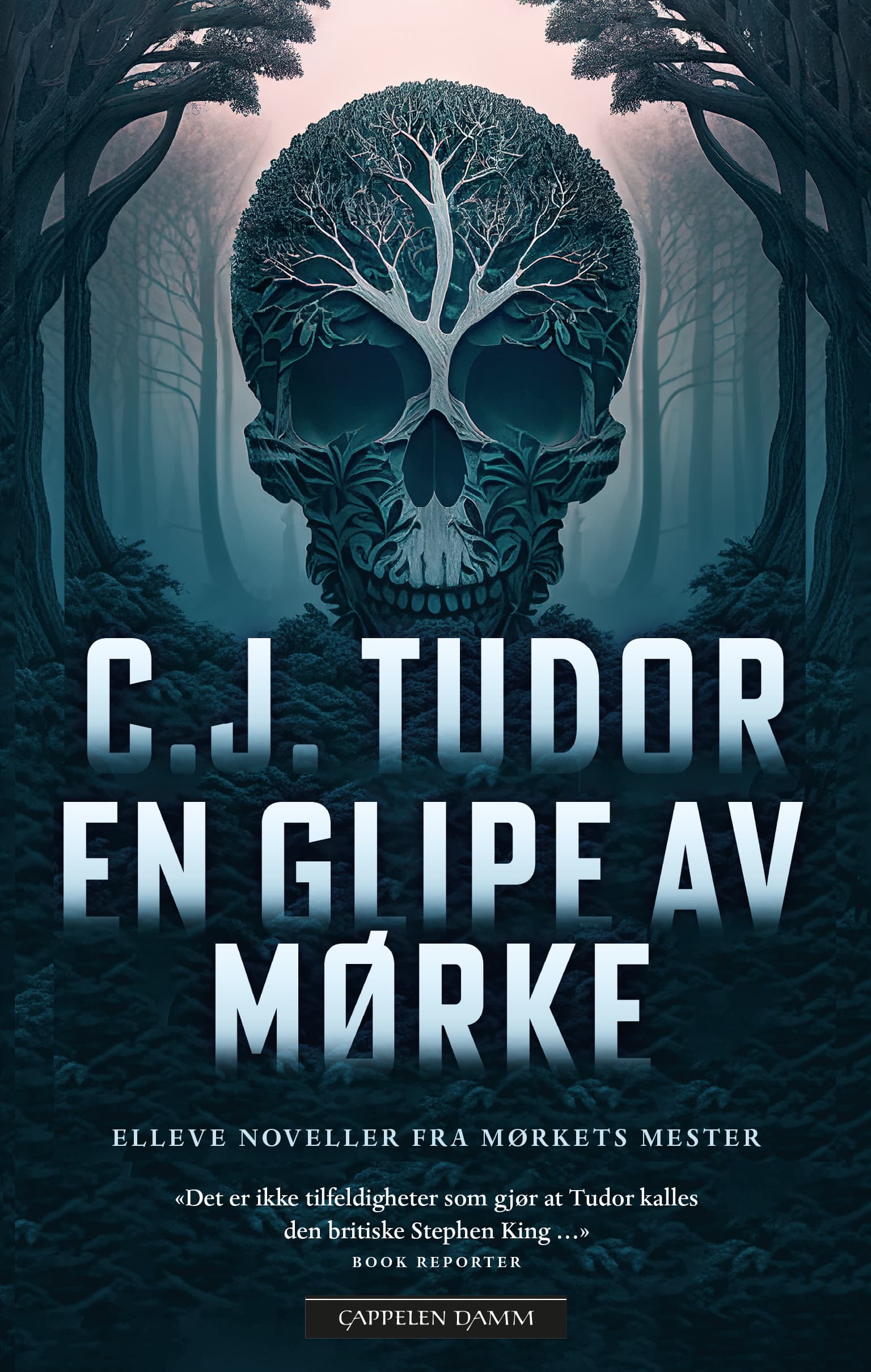 Omslag En glipe av mørke av C.J. Tudor (Innbundet)