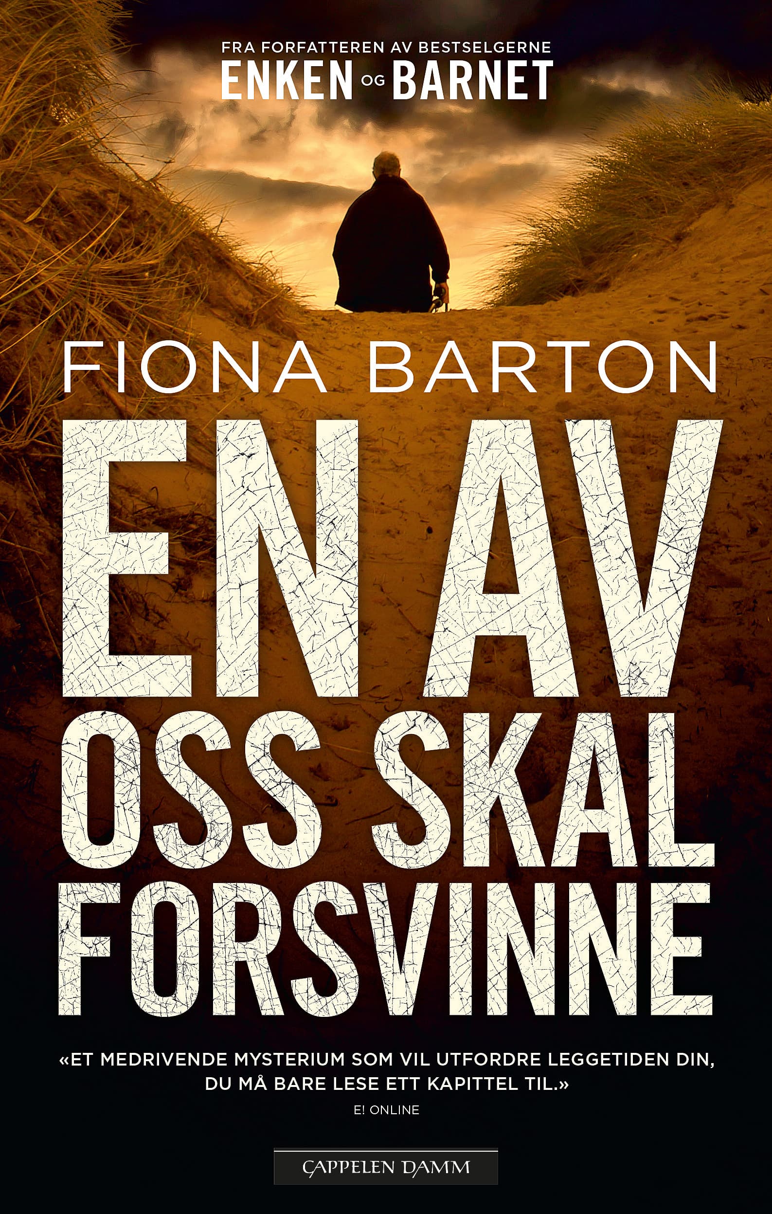 Omslag En av oss skal forsvinne av Fiona Barton (Ebok)