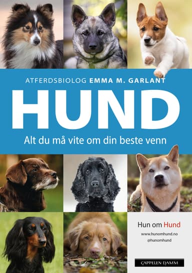 HUND