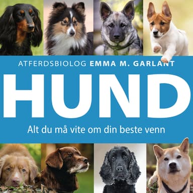 HUND - Alt du må vite om din beste venn