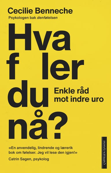 Omslag av "Hva føler du nå?"