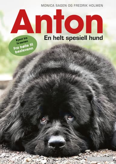 Anton - En helt spesiell hund
