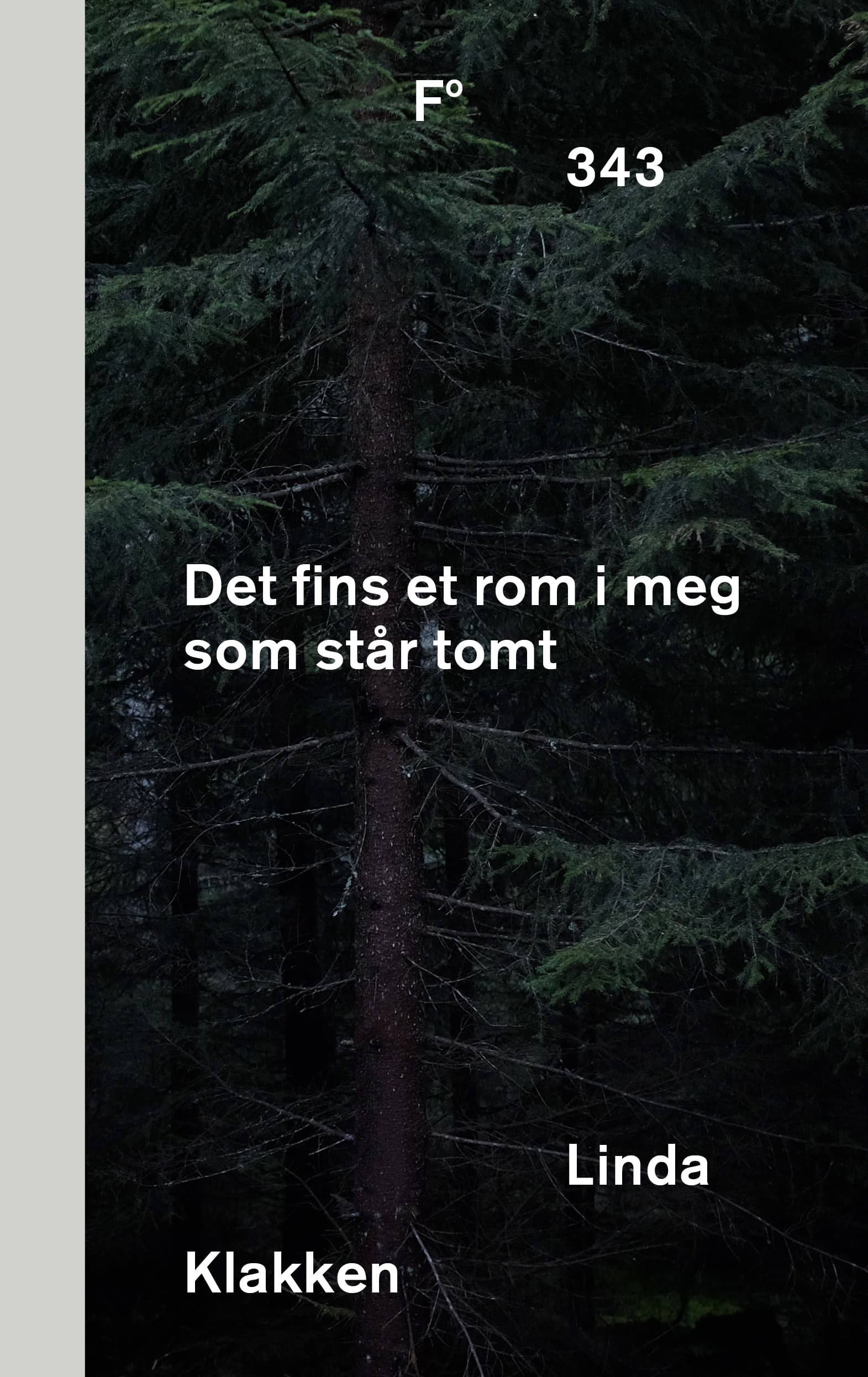 Omslag Det fins et rom i meg som står tomt av Linda Klakken (Innbundet)