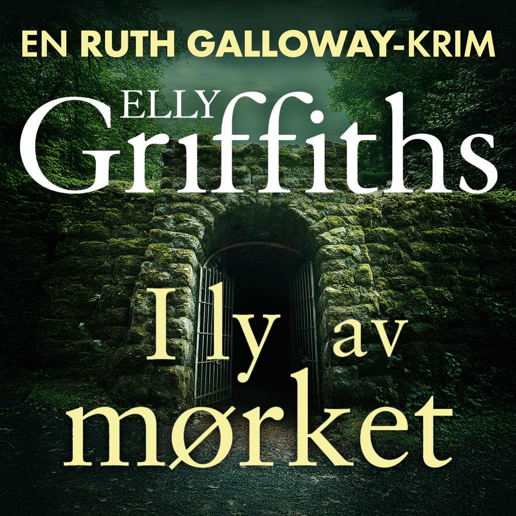 Omslag I ly av mørket av Elly Griffiths (Lydbok)