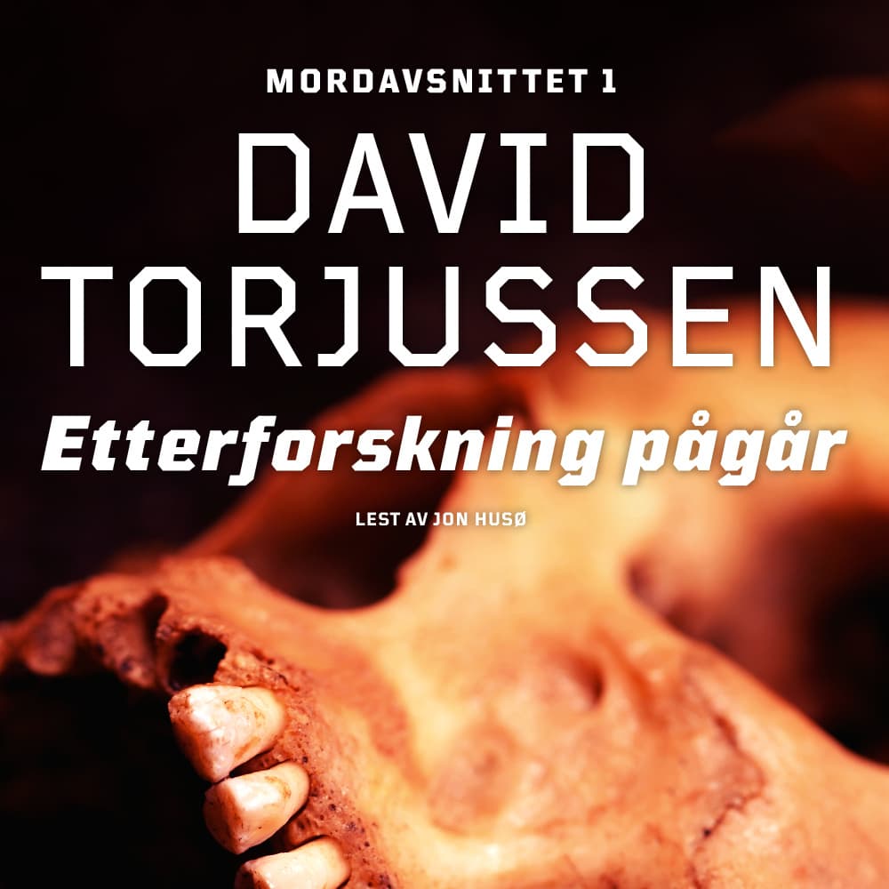 Omslag Etterforskning pågår av David Torjussen (Lydbok)