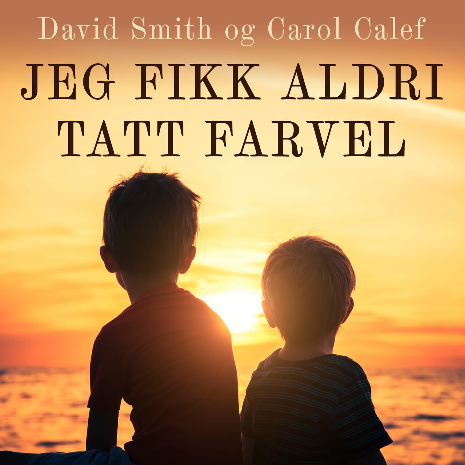 Omslag Jeg fikk aldri sagt farvel av Carol Calef og David Smith (Lydbok)