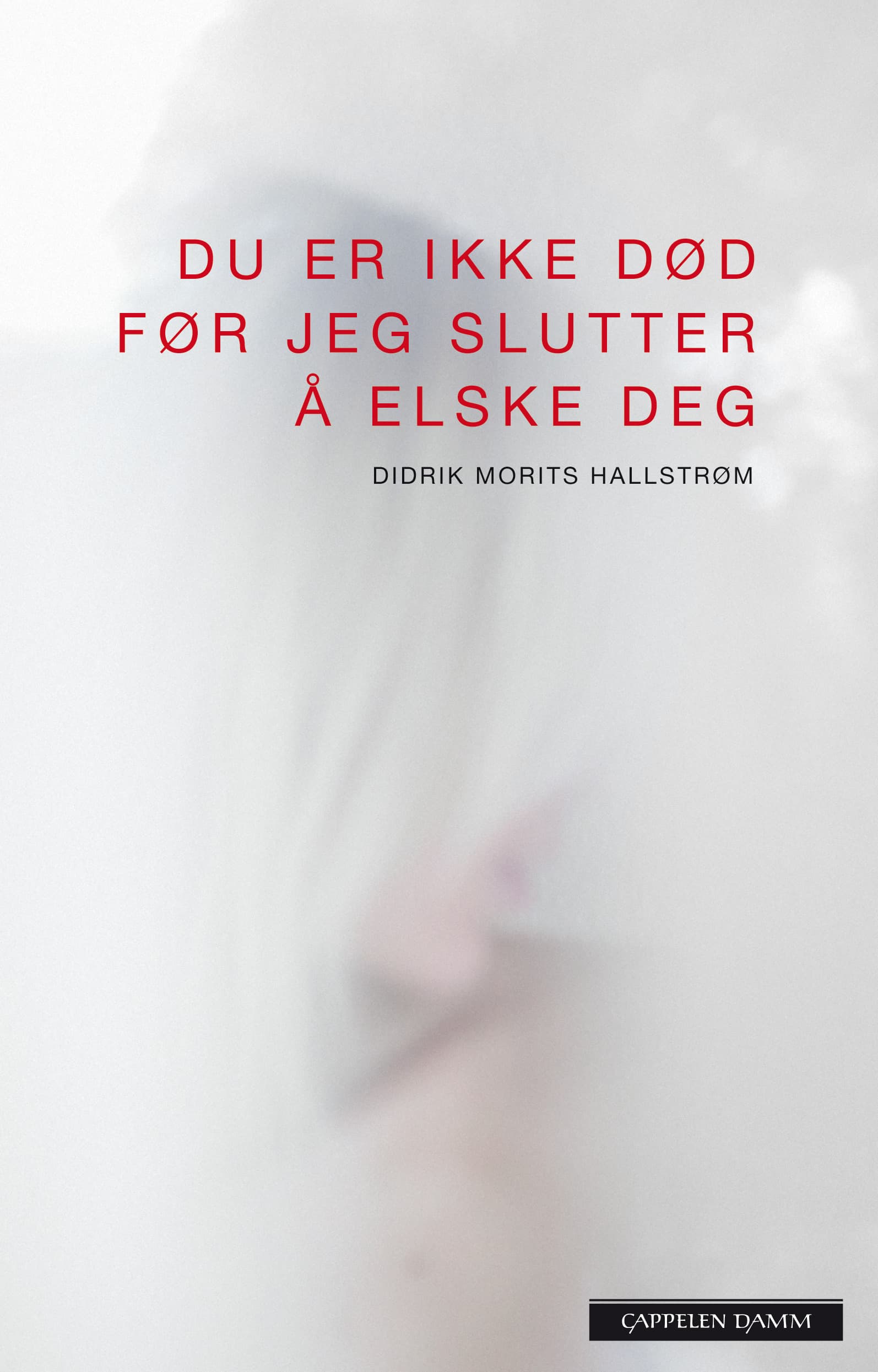Omslag Du er ikke død før jeg slutter å elske deg av Didrik Morits Hallstrøm (Ebok)