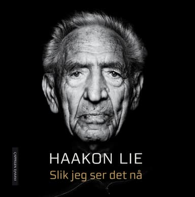 Slik jeg ser det nå