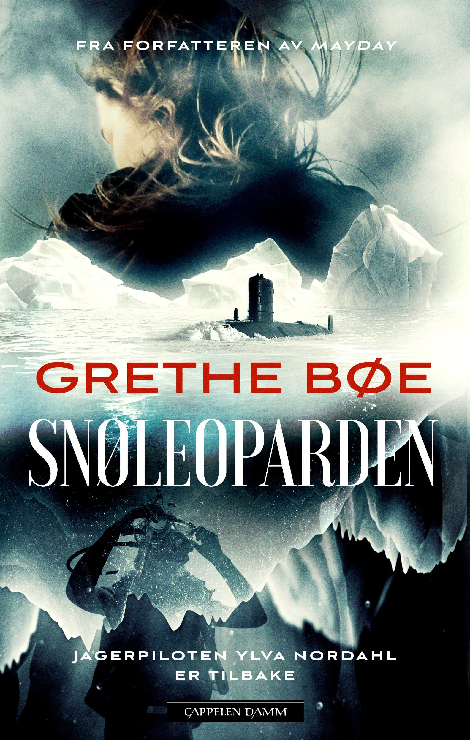 Omslag Snøleoparden av Grethe Bøe (Innbundet)