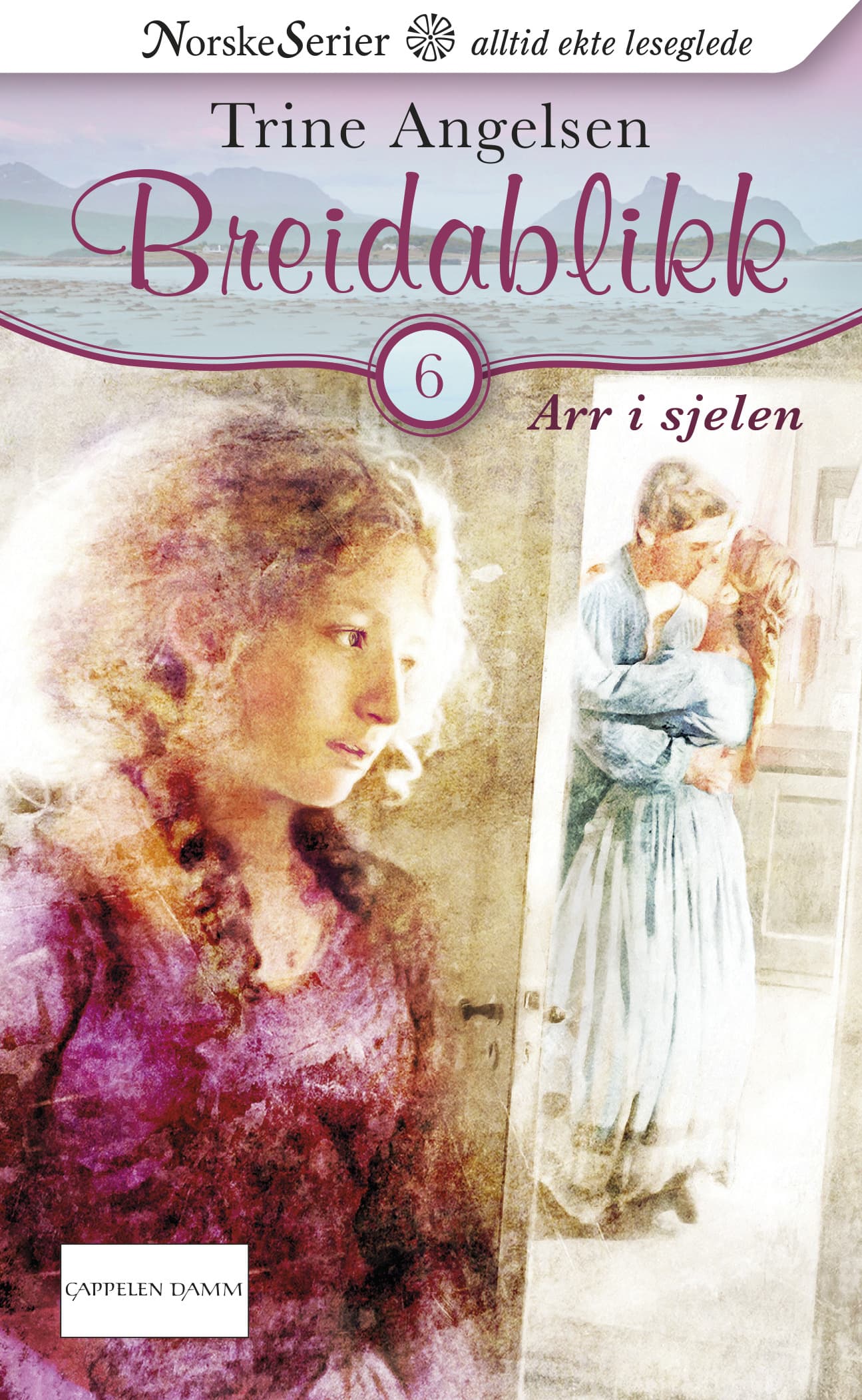 Omslag Arr i sjelen av Trine Angelsen (Ebok)