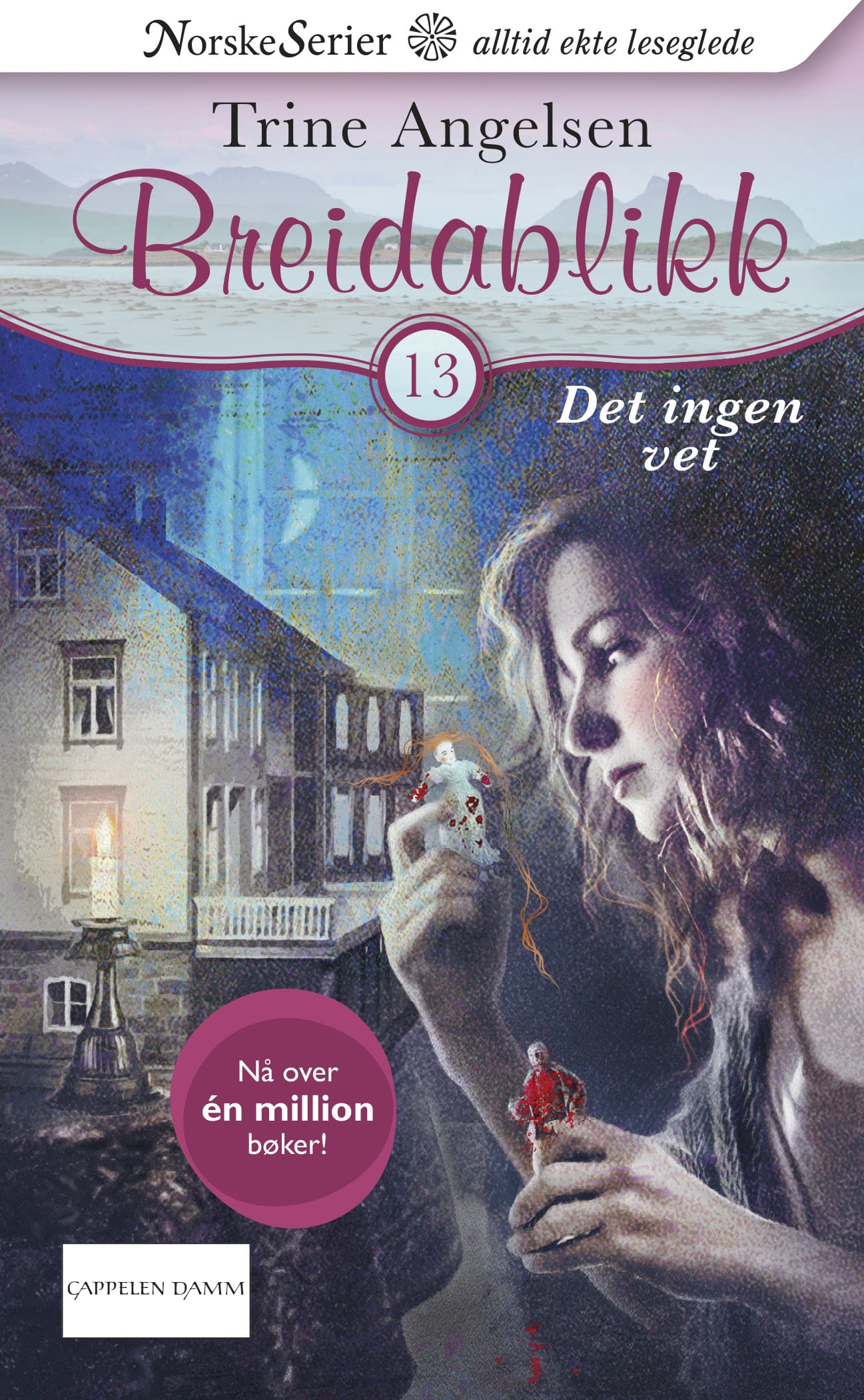 Omslag Det ingen vet av Trine Angelsen (Ebok)