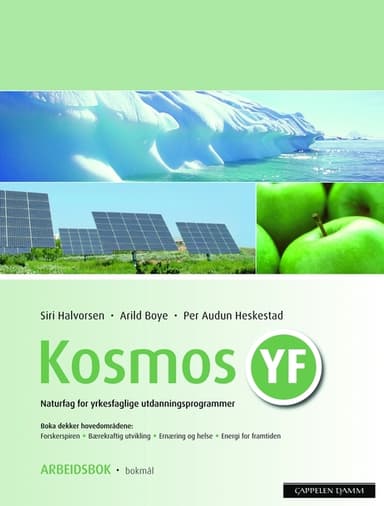 Kosmos YF Arbeidsbok (2009)