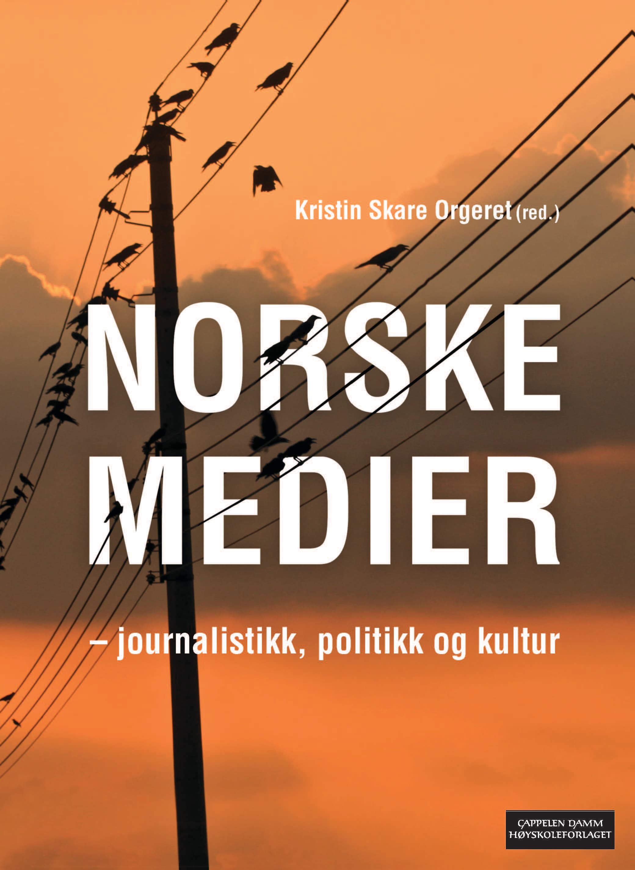 Omslag Norske medier - journalistikk, politikk og kultur av Kristin Skare Orgeret (red.) (Heftet)