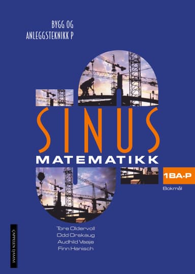 Sinus Bygg og anleggsteknikk P (2009)